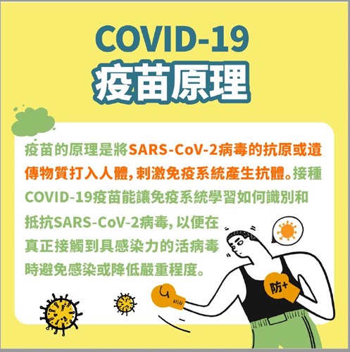 久違的防疫進行式COVID-19疫苗大解惑單元又來啦！